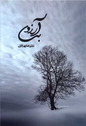 بی آرزو ( آوای مهدیس)